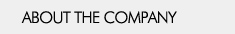 About the Company